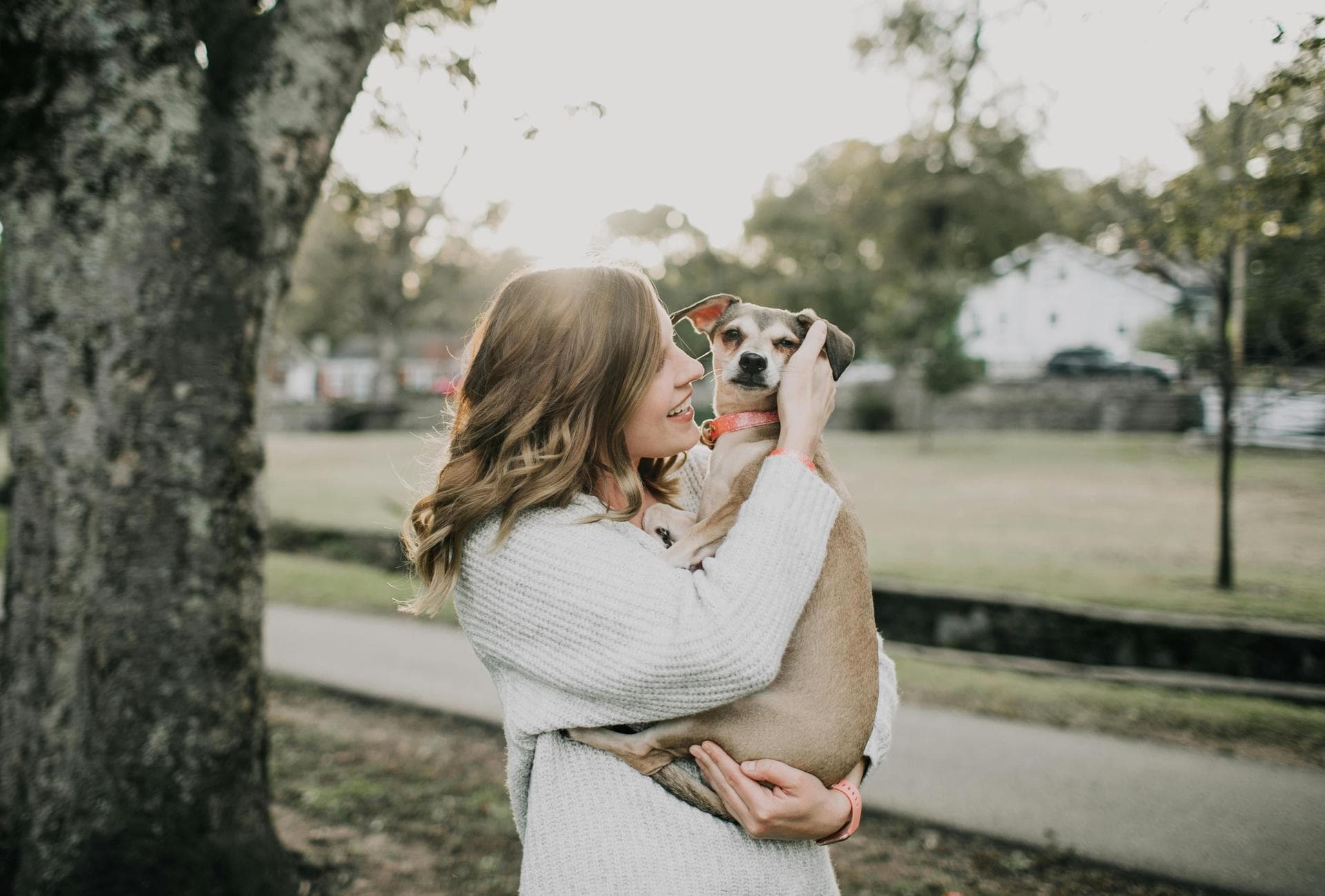 Dog Dental Prices in Warrington
