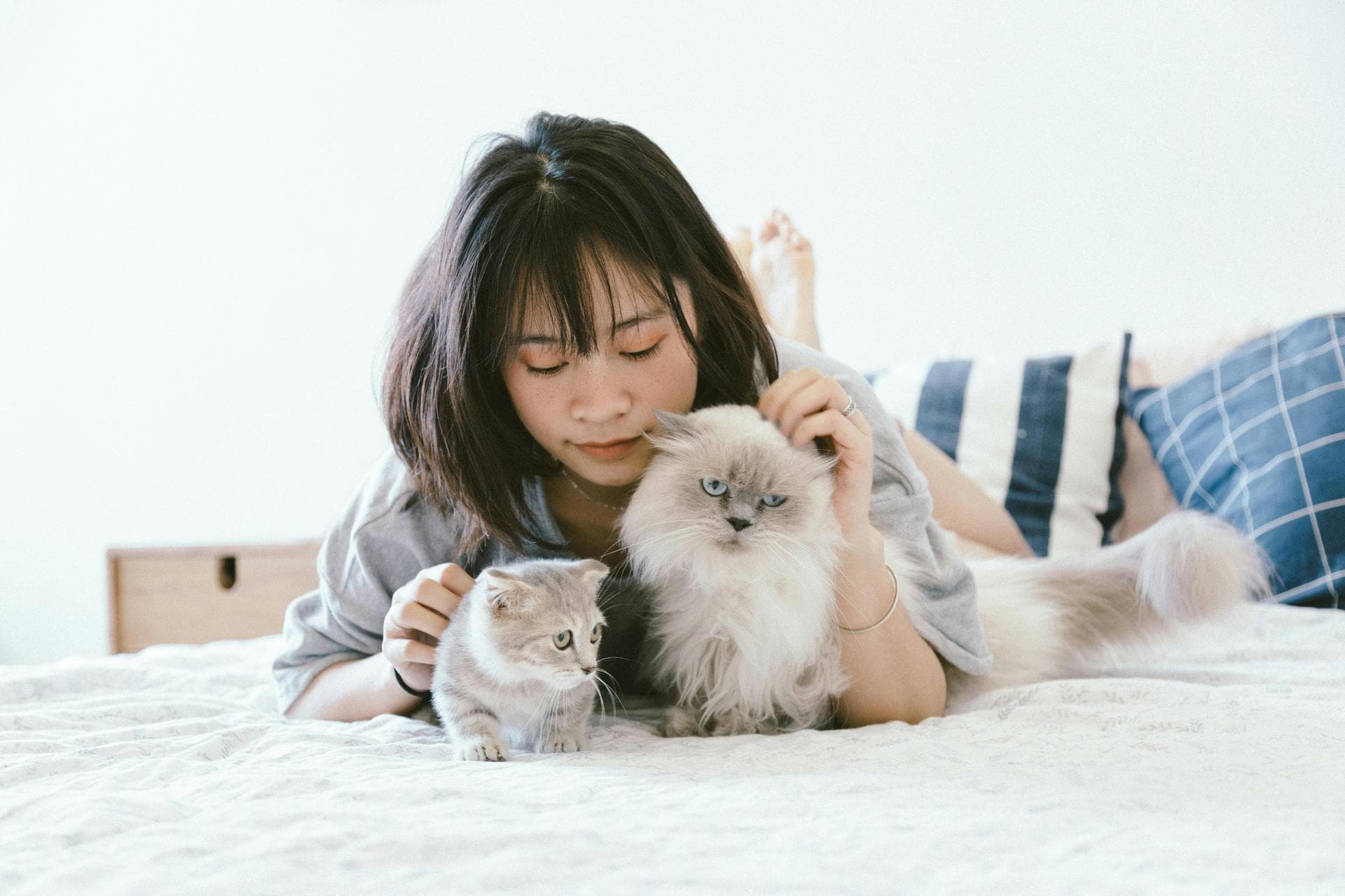Tail Amputation Prices in Warrington